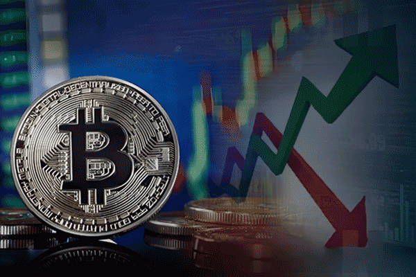 SolTradingBot官方声明：钱包被盗的传言为不实信息，缺乏任何证据支持